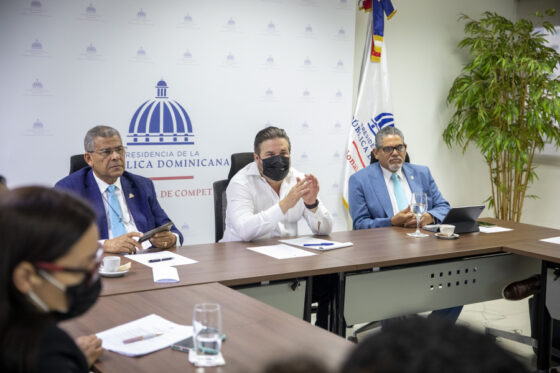 Comisión Burocracia Cero presenta avances trabajos al presidente Abinader
